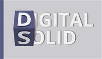 Digital Solid Limited  Logo