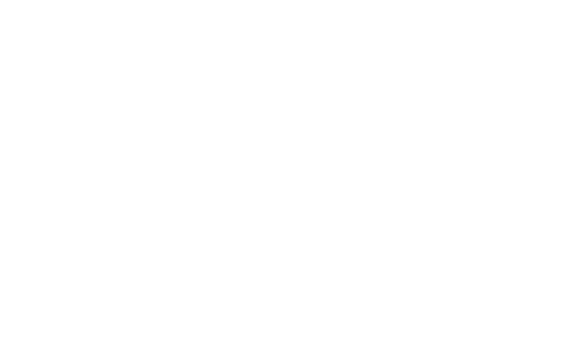 Dell & Intel